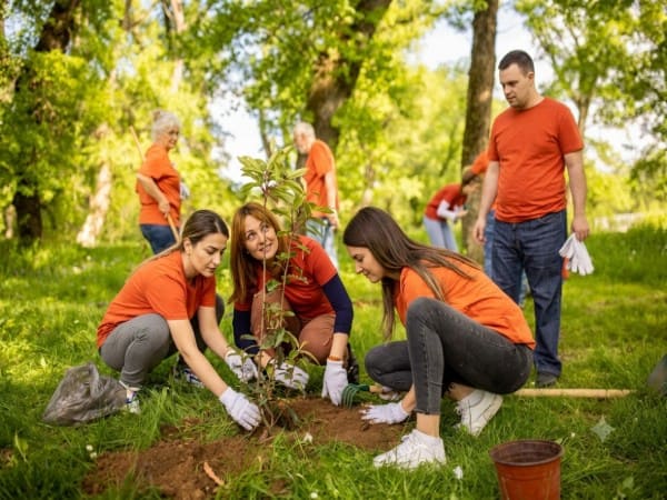 Community service